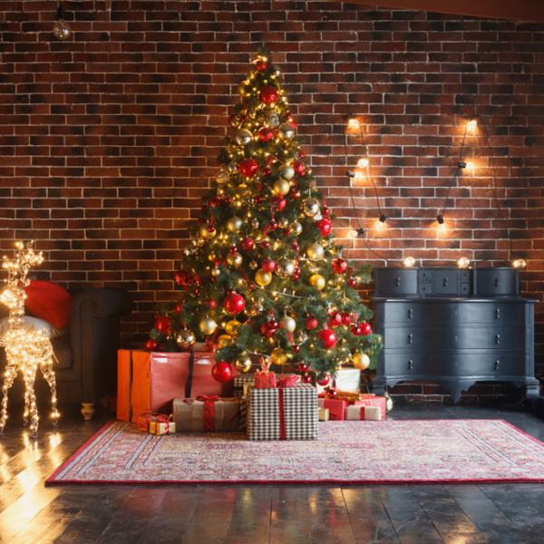 Vánoční stromeček, ilustrativní fotka