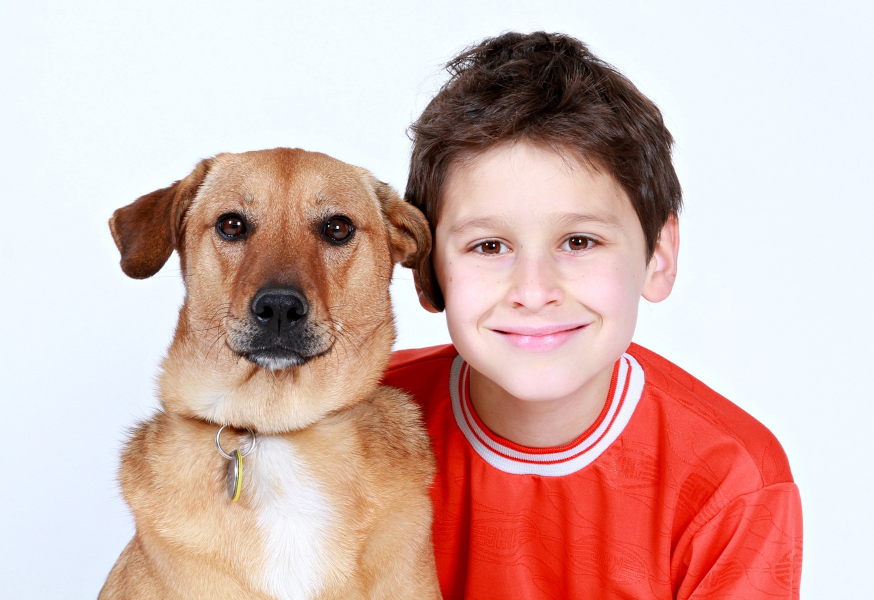 Jedna pojistka „na blbost“ pojistí vás, děti i psa