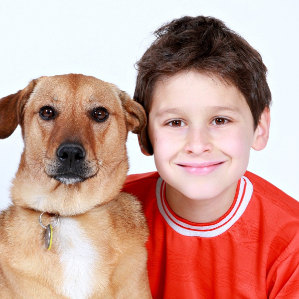 Jedna pojistka „na blbost“ pojistí vás, děti i psa